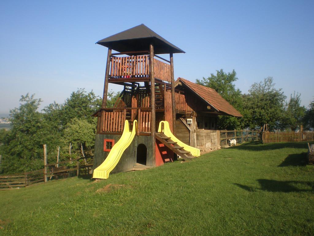 Pri Lazarju Farm Stay Podgrad  Exterior photo
