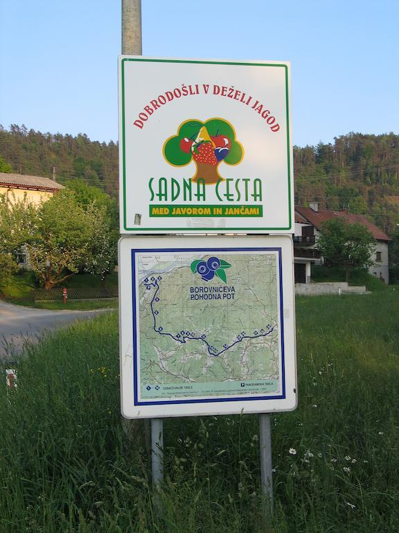 Pri Lazarju Farm Stay Podgrad  Exterior photo